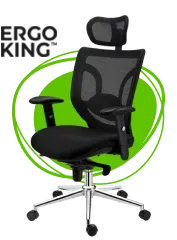 Chaises ERGOKING